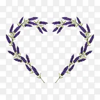 ���� ޹�²�-������