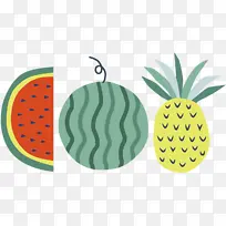 植物 水果 生物学-空若网 植物 水果 生物学-空若网