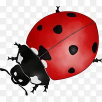 ˮ�ʻ� ���� ʪīˮ-������