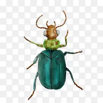 水彩画 油漆 湿墨水-空若网 水彩画 油漆 湿墨水-空若网