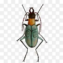 水彩画 油漆 湿墨水-空若网 水彩画 油漆 湿墨水-空若网