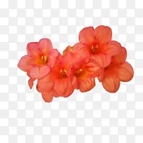 �� ���� �ݱ�ֲ��-������