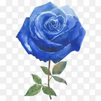 »æ» º£Ì²Ãµ¹å Ë®²Ê»-¿ÕÈôÍø »æ» º£Ì²Ãµ¹å Ë®²Ê»-¿ÕÈôÍø