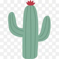 ֲ�� ʯ���� ��ͨ-������