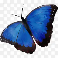 Ë®²Ê» ÑÕÁÏ ÊªÄ«Ë®-¿ÕÈôÍø Ë®²Ê» ÑÕÁÏ ÊªÄ«Ë®-¿ÕÈôÍø