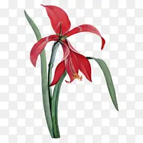 婚礼请柬 生日-空若网 婚礼请柬 生日-空若网