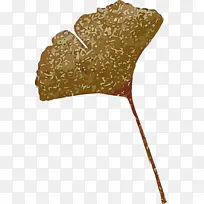 Ҷ�� ��ѧ ֲ��ṹ-������