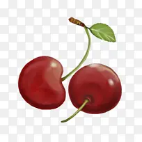 ֲ�� ����ʳƷ ˮ��-������