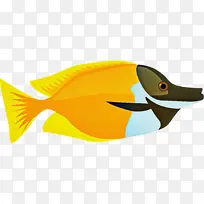 卡通 黄色 喙-空若网 卡通 黄色 喙-空若网