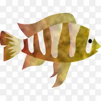 ���� ����ѧ ��ѧ-������