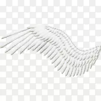 羽毛剪贴画-天使翅膀-空若网 羽毛剪贴画-天使翅膀-空若网