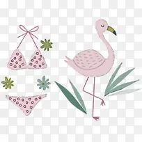 鸟 喙 水鸟-空若网 鸟 喙 水鸟-空若网