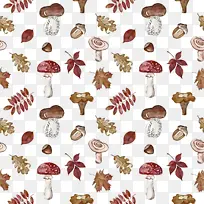 ��ѧ ����ѧ-������