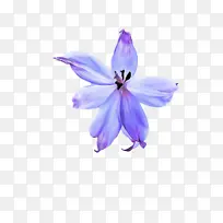 �� ���� ޹�²�-������