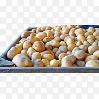 �����߲� �߲� ����-������