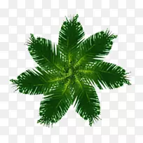 ������ͼ-������