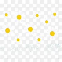 ���� �� ��-������