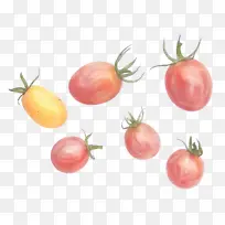 灌木番茄 天然食品 超级食品-空若网 灌木番茄 天然食品 超级食品-空若网