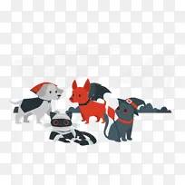 万圣节前夕-空若网 万圣节前夕-空若网