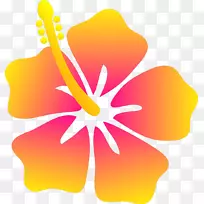 鞋类植物花卉动画剪贴画.羽毛-空若网 鞋类植物花卉动画剪贴画.羽毛-空若网