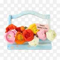 ĸ�׽� ĸ�׽ڿ��� �������-������