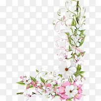 Ë®²Ê» ÓÍÆá ʪī-¿ÕÈôÍø Ë®²Ê» ÓÍÆá ʪī-¿ÕÈôÍø