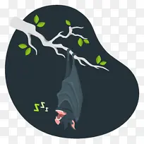 植物 科学 生物学-空若网 植物 科学 生物学-空若网