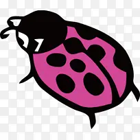 瓢虫 口鼻-空若网 瓢虫 口鼻-空若网