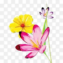 ˮ�ʻ� ���� ʪī-������