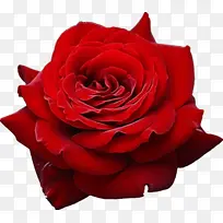 水彩画 颜料 湿墨-空若网 水彩画 颜料 湿墨-空若网