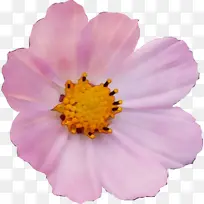 Ë®²Ê» ÑÕÁÏ ÊªÄ«-¿ÕÈôÍø Ë®²Ê» ÑÕÁÏ ÊªÄ«-¿ÕÈôÍø