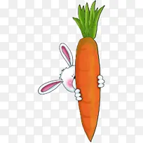 素食菜肴 胡萝卜 萝卜-空若网 素食菜肴 胡萝卜 萝卜-空若网