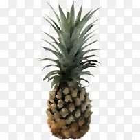 菠萝 水果 免版税-空若网 菠萝 水果 免版税-空若网