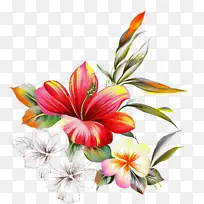 动画 花卉设计 闹钟-空若网 动画 花卉设计 闹钟-空若网