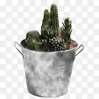 植物 花盆 生物学-空若网 植物 花盆 生物学-空若网