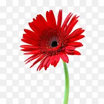 水彩画 油漆 湿墨水-空若网 水彩画 油漆 湿墨水-空若网