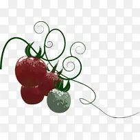 感恩节 收获 蔬菜-空若网 感恩节 收获 蔬菜-空若网