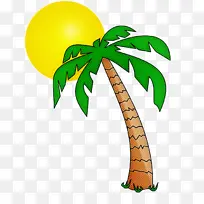 棕榈树 树 植物-空若网 棕榈树 树 植物-空若网