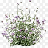 ˮ�� ���� ʪīˮ-������