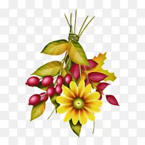 Ë®²Ê» »¨»Ü ËØÃè-¿ÕÈôÍø Ë®²Ê» »¨»Ü ËØÃè-¿ÕÈôÍø