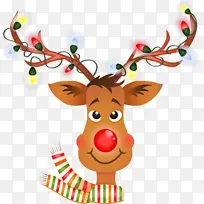 ѱ¹ ʥ��װ��Ʒ ʥ����-������