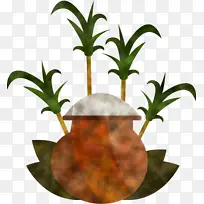 ��Ӷ� ֲ�� ����-������