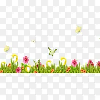 蝴蝶 草 花瓣-空若网 蝴蝶 草 花瓣-空若网