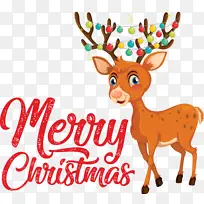 ʥ������ѱ¹��ͨ�������ֿ�ѧ����-������