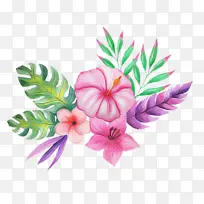 �ɹ���Ʒ�� ˮ�ʻ� ����-������