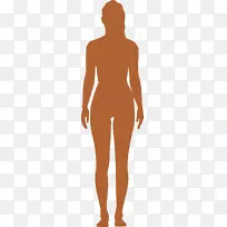 ���౳��ѧ����ϵͳ�Ժ���Ǵ�����ѧ�о������޹�˾-Ů��-������