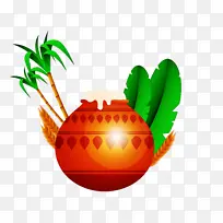 蓬加尔 蔬菜 日用品-空若网 蓬加尔 蔬菜 日用品-空若网