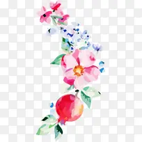 花卉设计 飞蛾兰花 花-空若网 花卉设计 飞蛾兰花 花-空若网