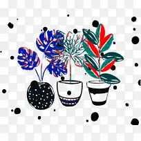 线 花 米-空若网 线 花 米-空若网