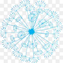 蒲公英 对称 线-空若网 蒲公英 对称 线-空若网